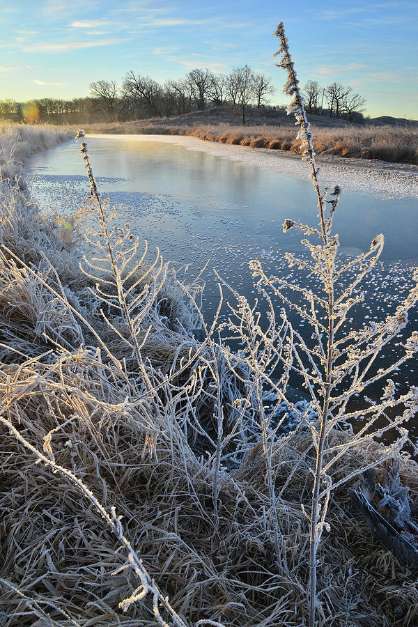 Sunrise on Hoarfrost along Nippersink Creek in Glacial Park Photograph by Ray Mathis