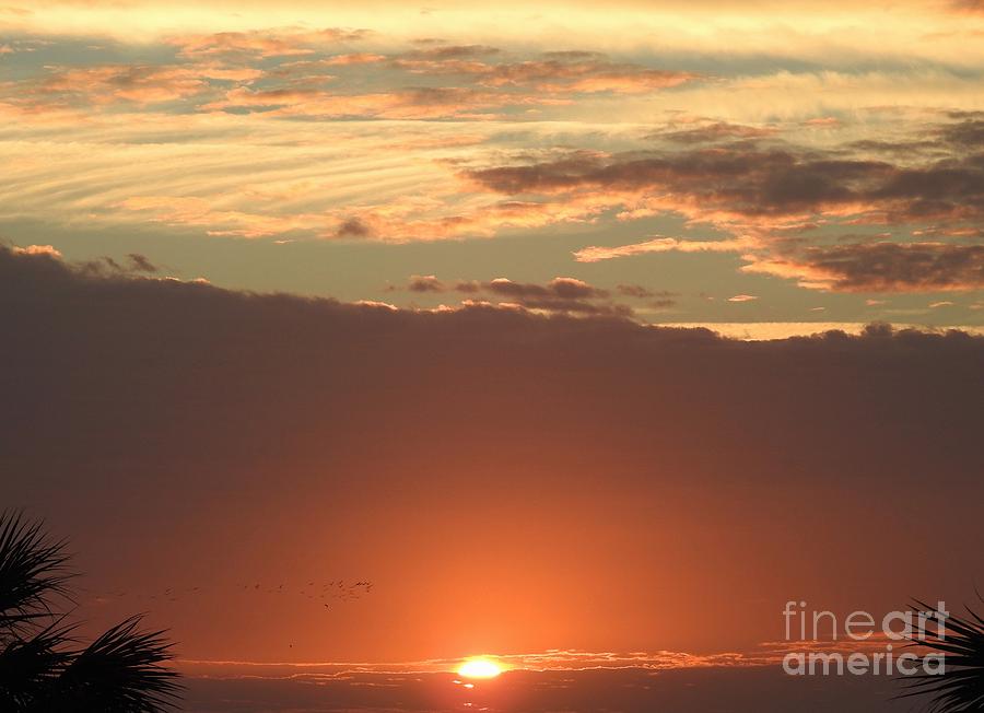 Sunrise On Horizon Photograph by Jan Gelders