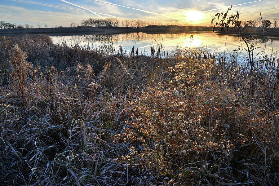 Sunrise on Lakewood Forest Preserve Lake Photograph by Ray Mathis
