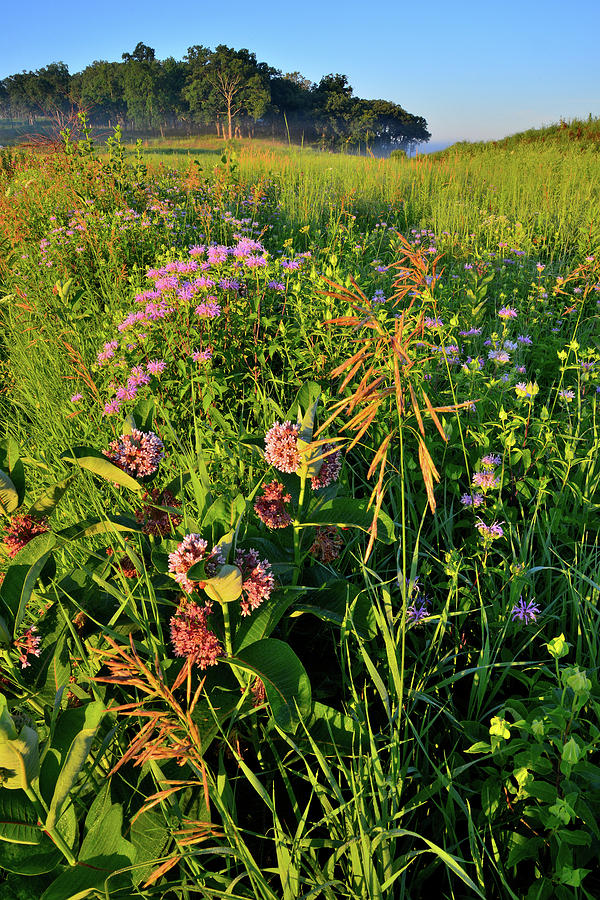 Sunrise on Lost Valley Prairie in Glacial Park Photograph by Ray Mathis