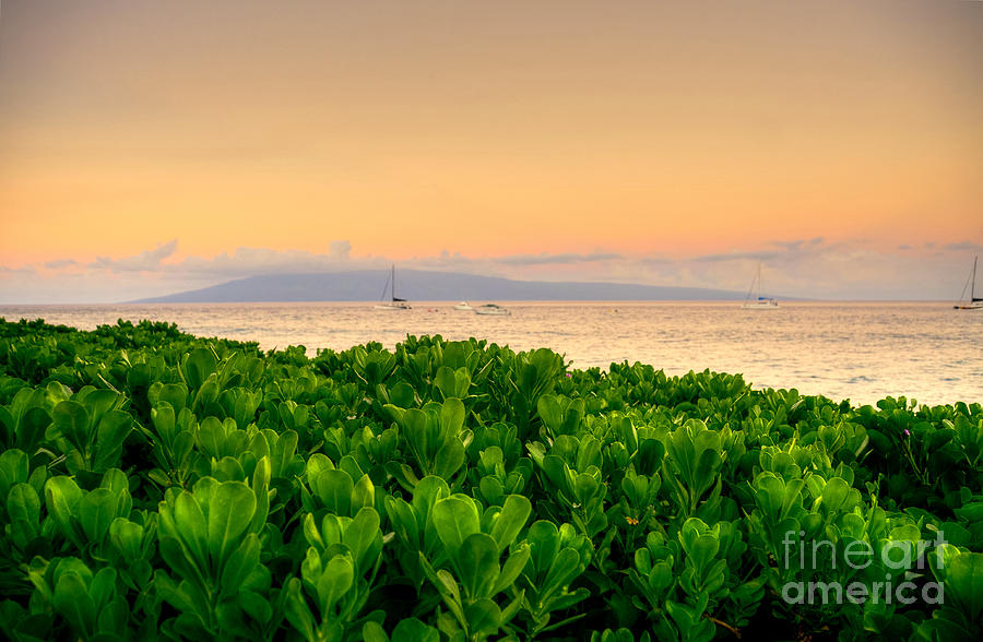 Sunrise On Maui Photograph by Kelly Wade