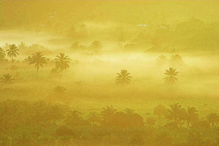Sunrise on Mist in Roseau Valley- St Lucia Photograph by Chester Williams