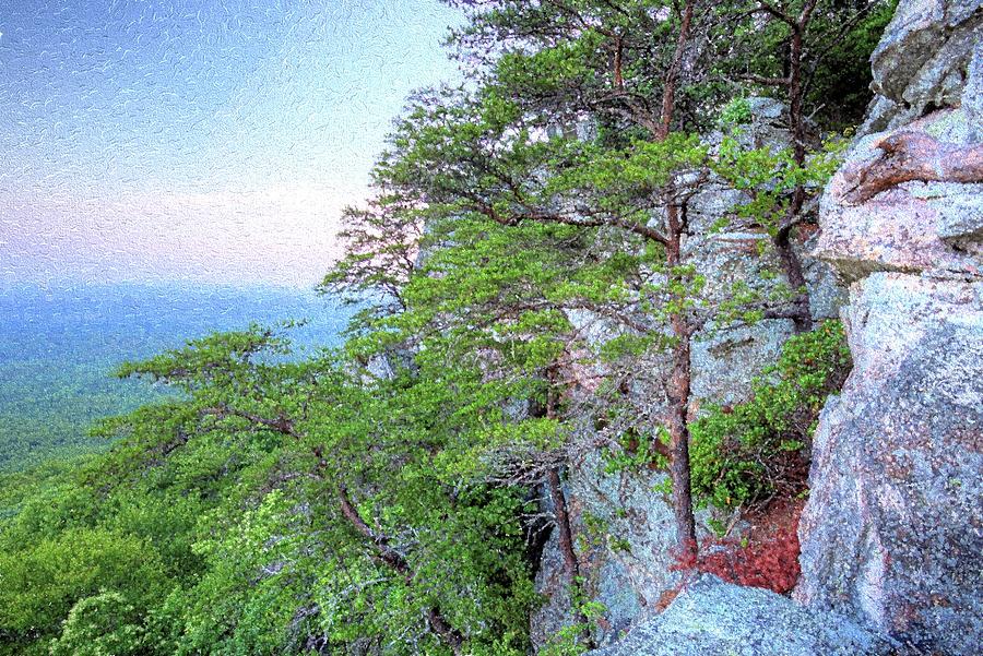 Sunrise on Mount Cheaha Photograph by JC Findley