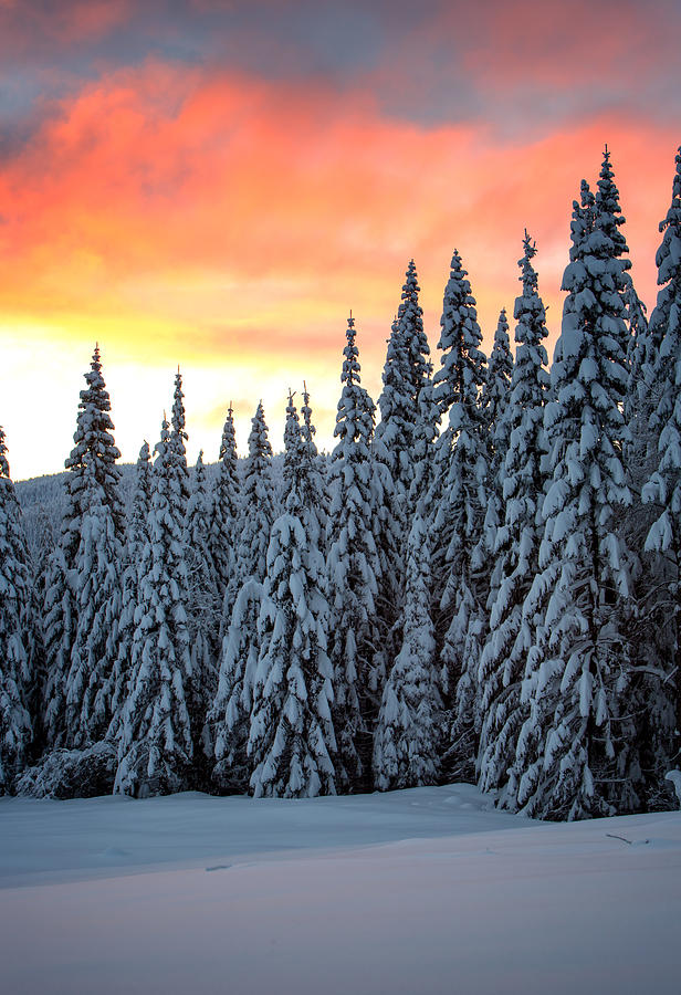 Winter Photograph - Sunrise on Mt. Spokane by James Richman