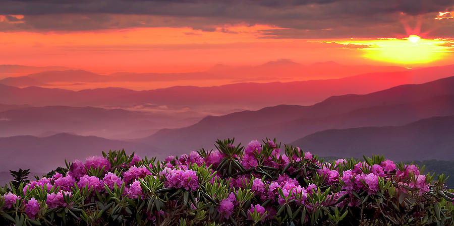 Sunrise on Roan Photograph by Jim Ruff - Fine Art America