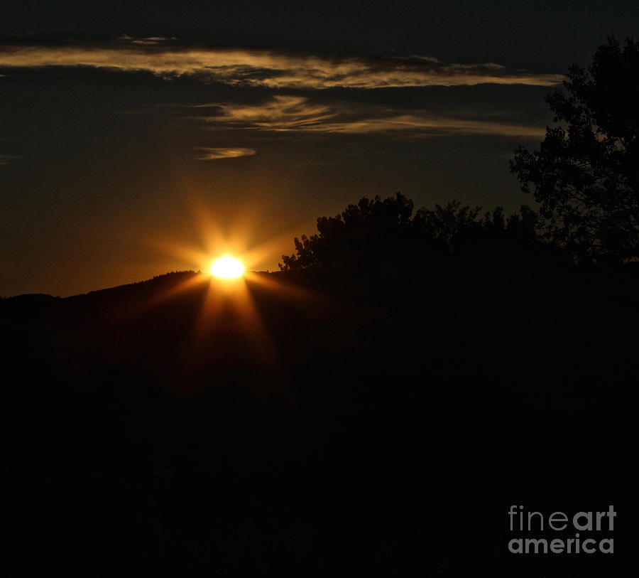 Sunrise on Saddle Mountain Road Photograph by Ann E Robson