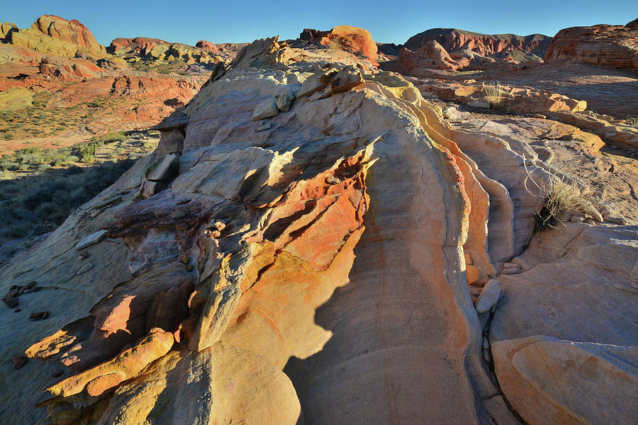 Sunrise on Sandstone Crests in Valley of Fire Photograph by Ray Mathis