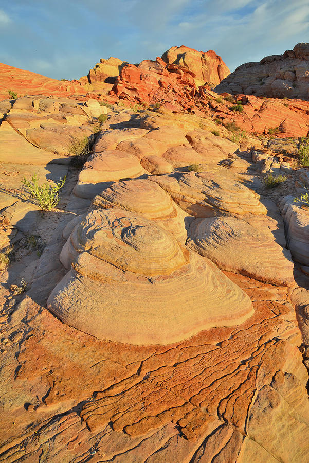 Sunrise on Sandstone Domes in Valley of Fire Photograph by Ray Mathis