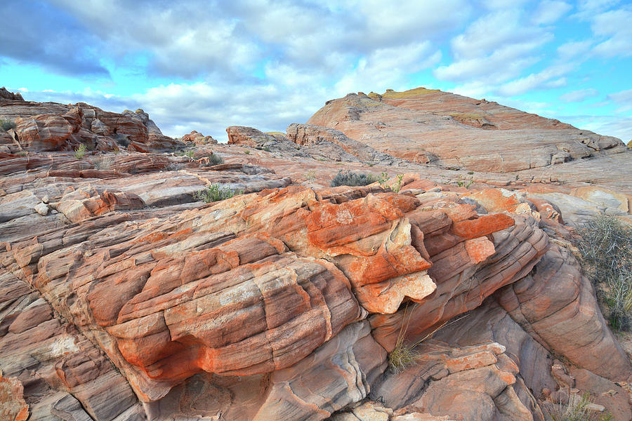 Sunrise on Sandstone in Valley of Fire Photograph by Ray Mathis