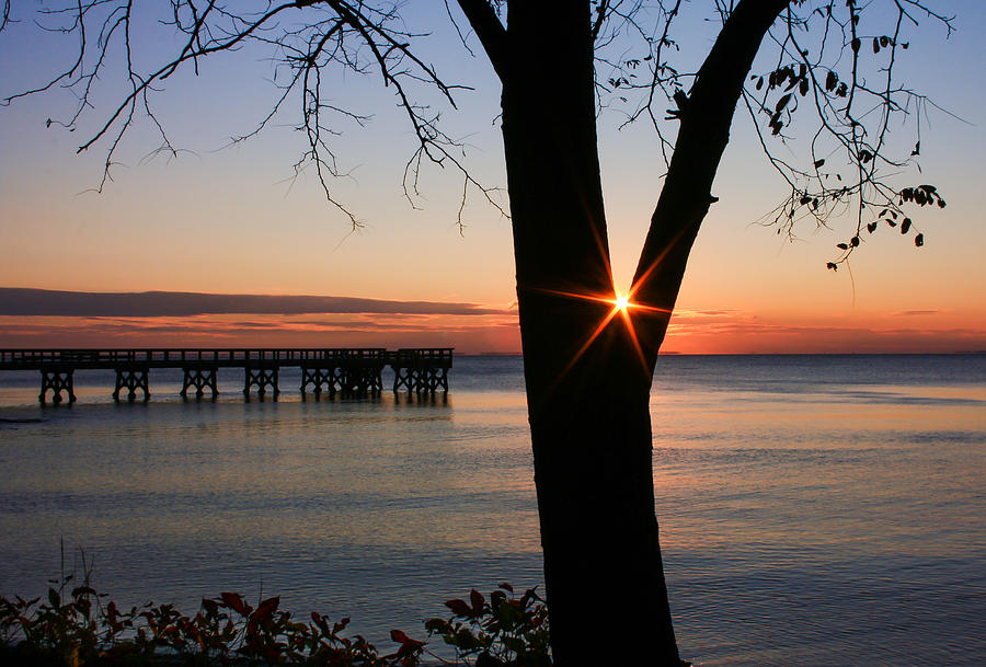 Sunrise On The Chesapeake Bay Photograph By Donna Dow | Fine Art America