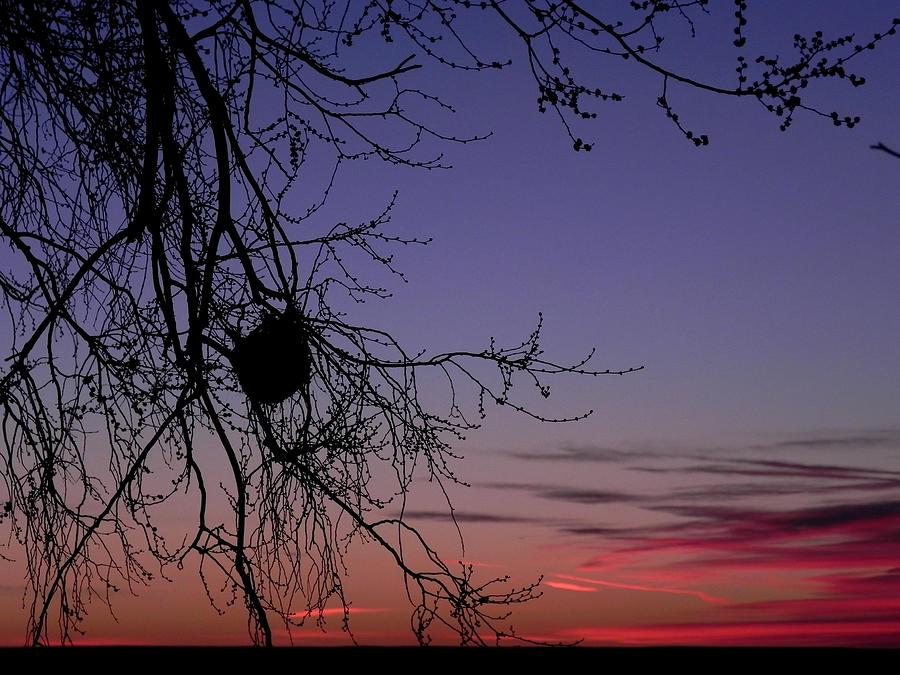 Landscape Photograph - Sunrise on the Colorado Plains by Adrienne Petterson Landscape Photograph - Sunrise on the Colorado Plains by Adrienne Petterson