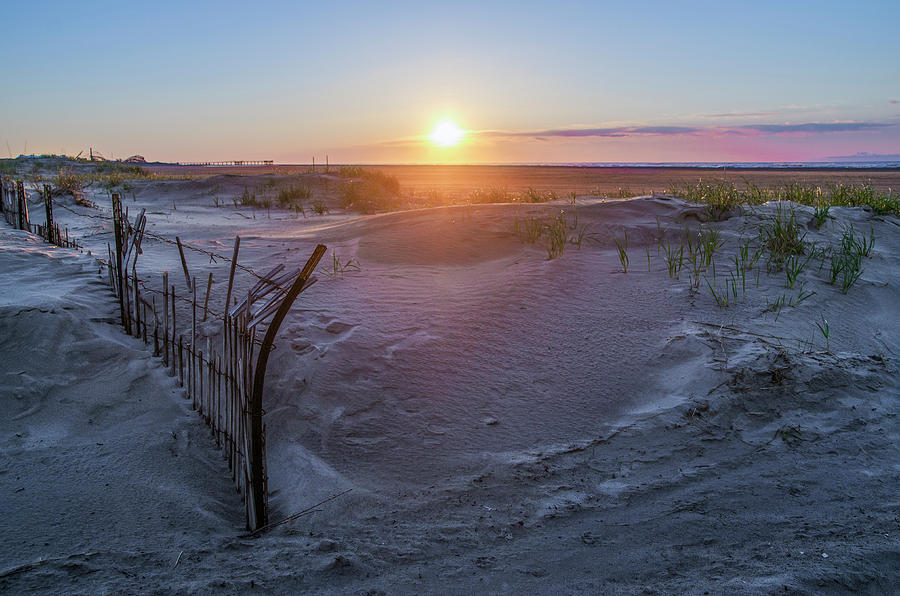 Sunrise on the Dunes - Wildwood Crest New Jersey Photograph by Bill Cannon