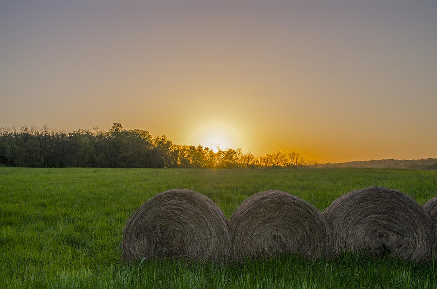 Sunrise on the Farm Photograph by Bill Cannon