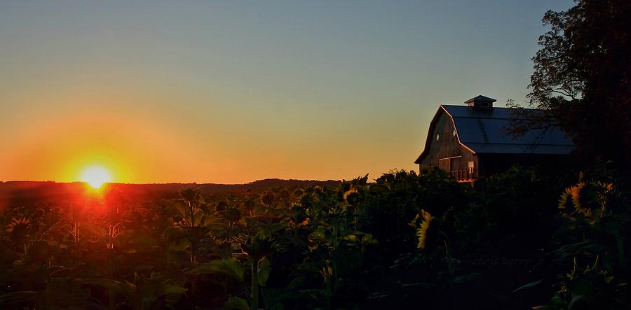 Sunrise on the Farm Photograph by Chris Berry