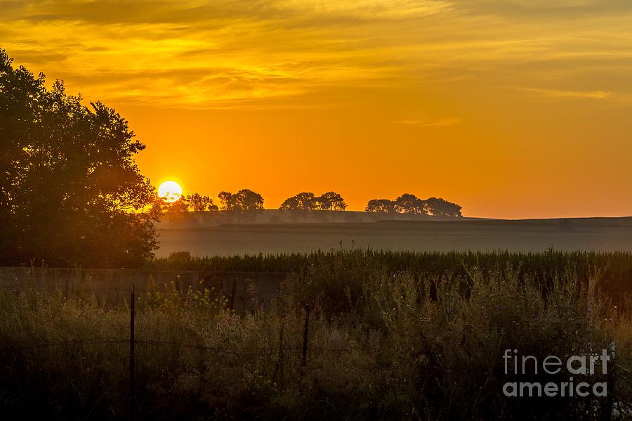 Sunrise On The Farm Photograph