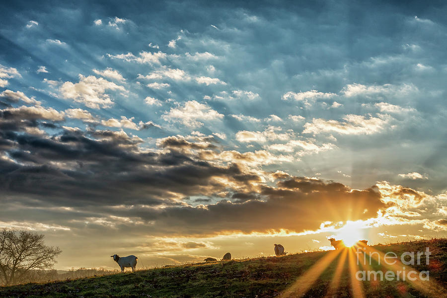 Sunrise on the Farm Photograph by Thomas R Fletcher