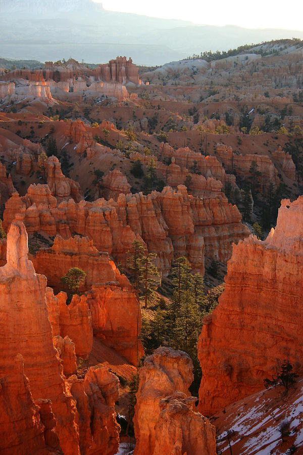 Bryce Canyon National Park Photograph - Sunrise on the Hoodoos by Brian M Lumley