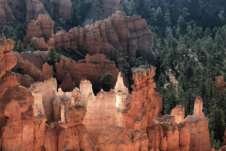 Sunrise on the Hoodoos Photograph by Donna Kennedy