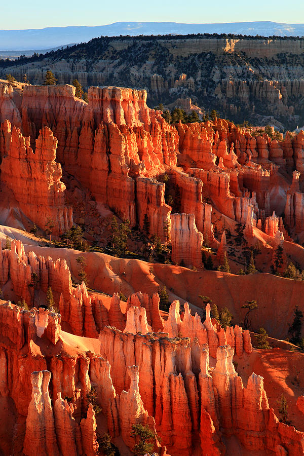 Sunrise on the Hoodoos of Bryce Canyon National Park Photograph by ...