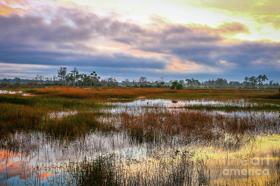 Sunrise on the Marsh #1 Photograph by Tom Claud
