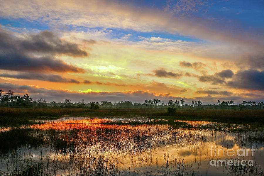 Sunrise on the Marsh #2 Photograph by Tom Claud