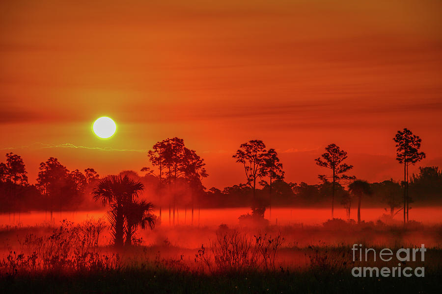 Sunrise on the Marsh Photograph by Tom Claud