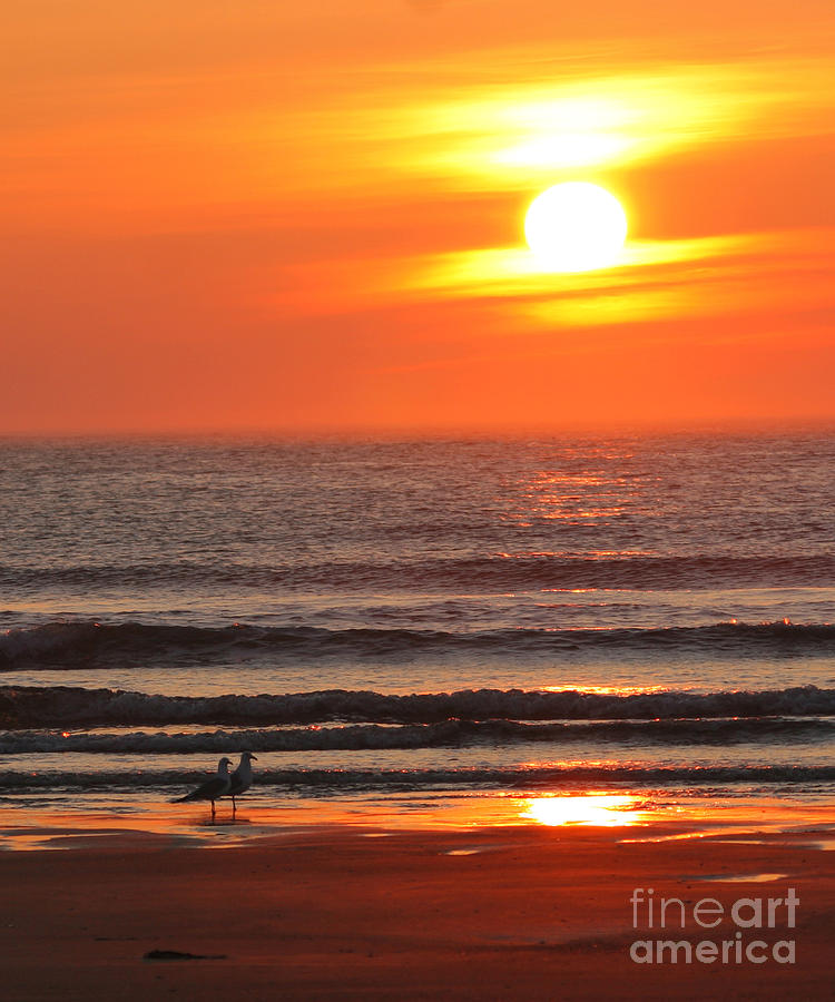 Sunrise On The Oceanside Photograph by Max Allen