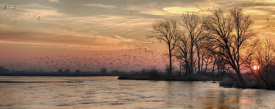 Sunrise on the Platte Photograph by Susan Rissi Tregoning