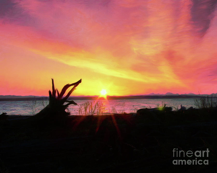 Sunrise on the Puget Sound Photograph by Scott Cameron