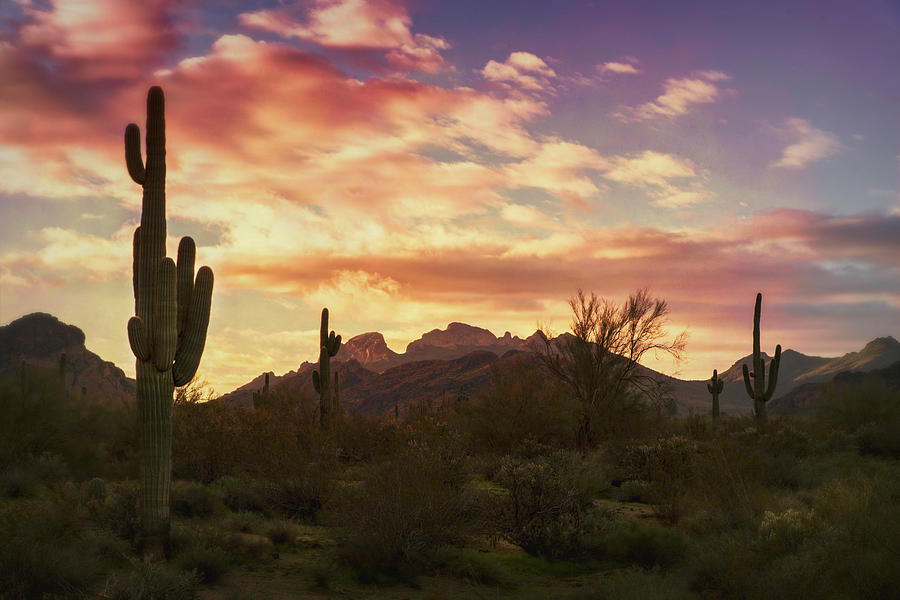 Sunrise on the Sonoran Horizon  Photograph by Saija Lehtonen
