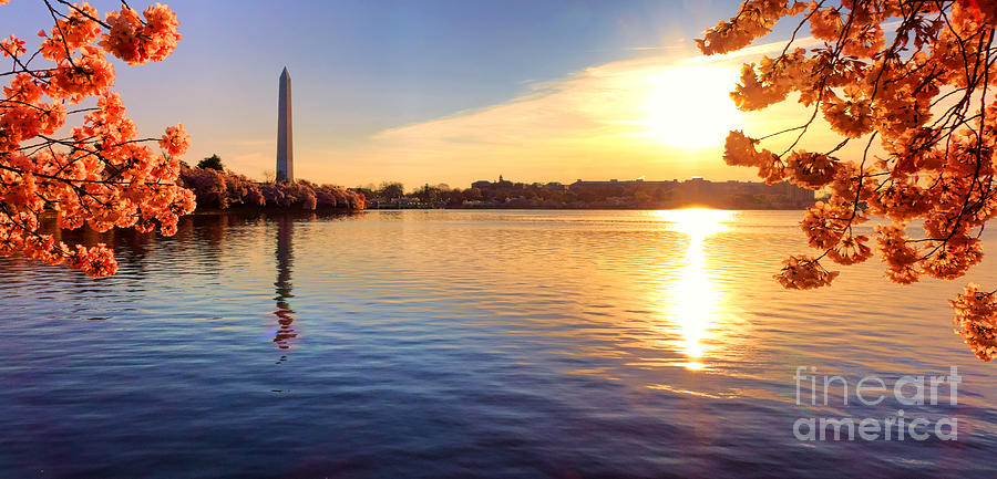 Sunrise on the Tidal Basin Photograph by Olivier Le Queinec