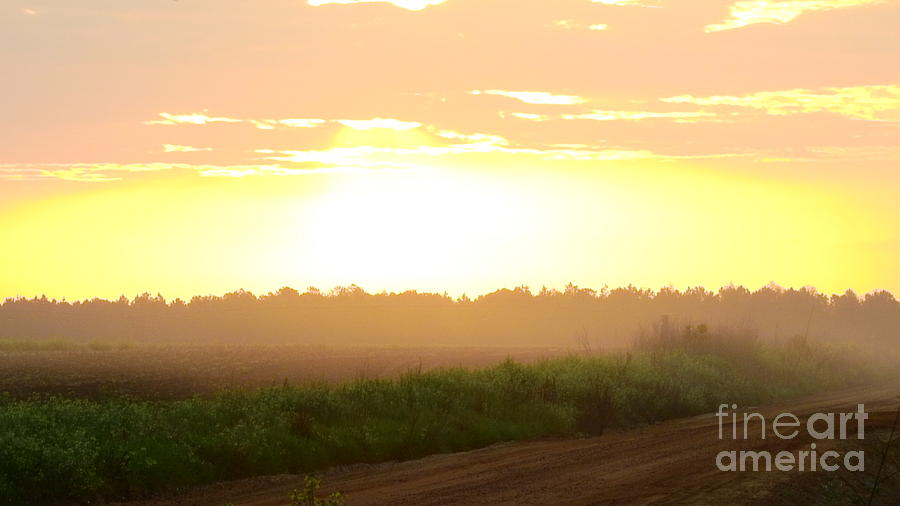 Sunrise Over A Country Road   Digital Art by Jan Gelders