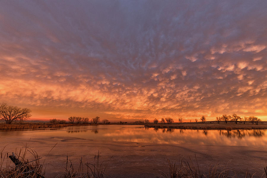 Sunrise Over a Frozen Pond Photograph by Tony Hake