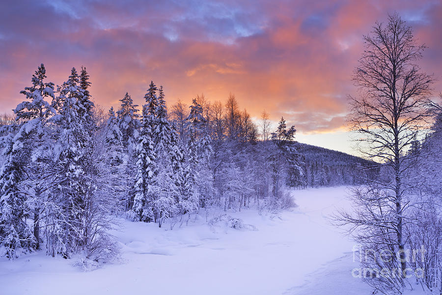 Sunrise over a river in winter Levi, Finnish Lapland Photograph by Winter Pixels