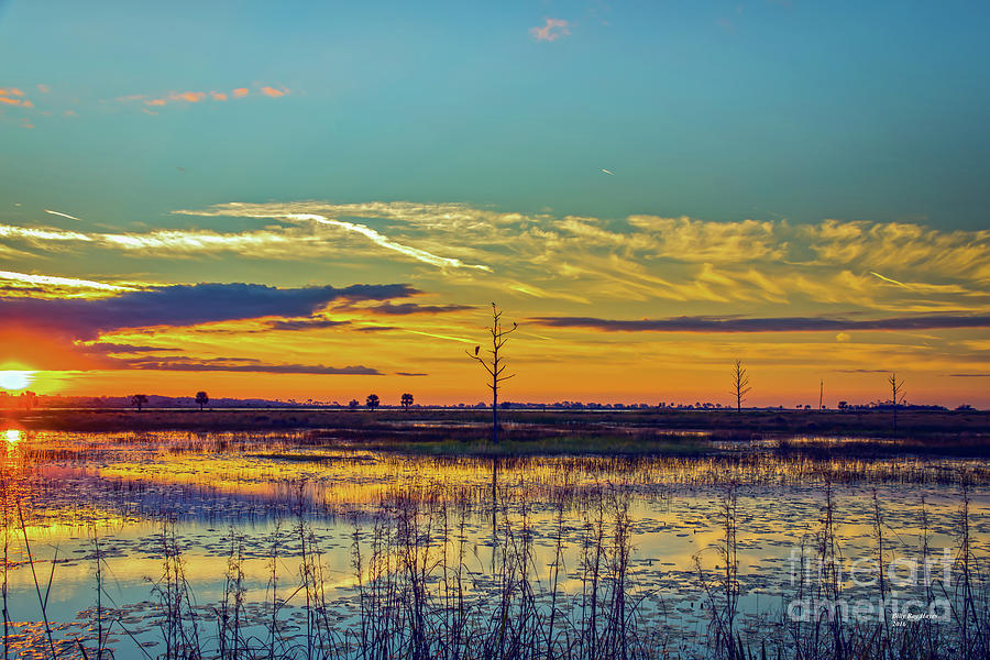 Sunrise Over a Saint Marks National Wildlife Refuge Lagoon Photograph by DB Hayes