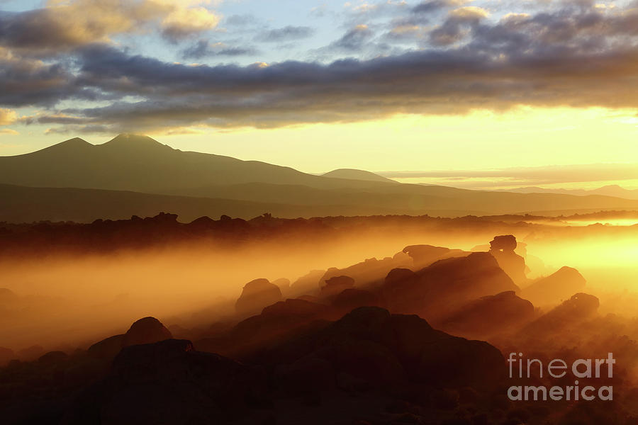 Sunrise Over Ancient Rock Forests Nor Lipez Bolivia Photograph by James Brunker