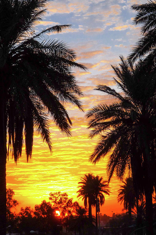 Sunrise Over Baghdad Photograph by SR Green