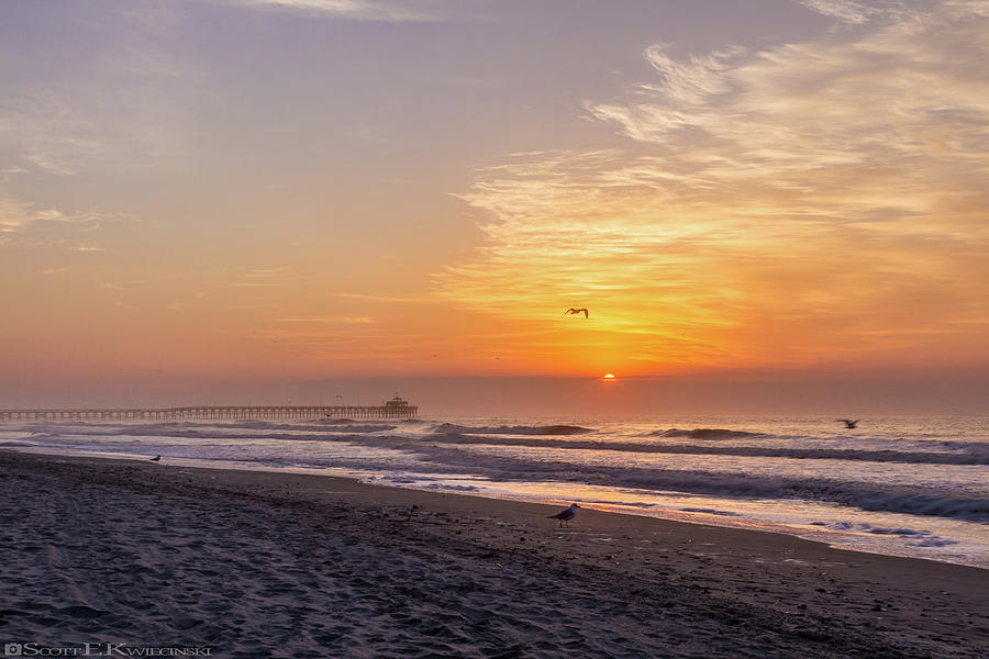 Seagull Photograph - Sunrise Over Cherry Grove Pier  by Scott Kwiecinski