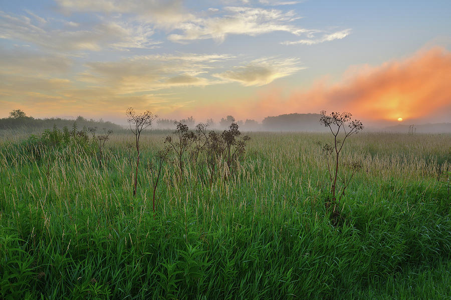 Sunrise over Glacial Park Wetand Photograph by Ray Mathis - Fine Art ...