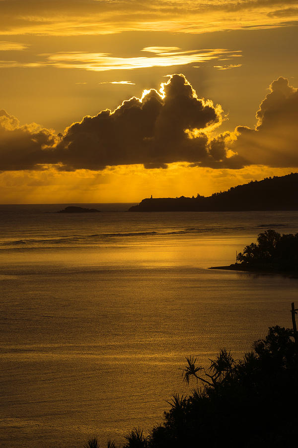 Sunrise over Kilauea Point In Kauai Photograph by Frank Wilson