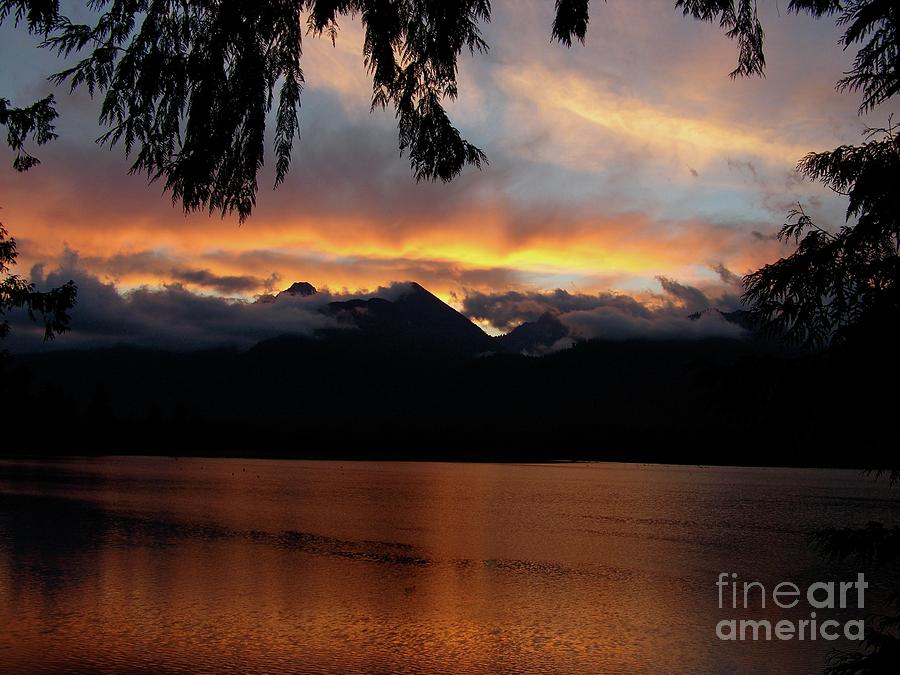 Sunrise Over Lake Quinault Photograph by Bruce Chevillat
