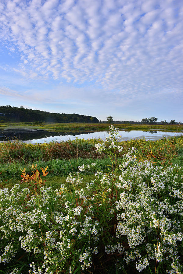 Sunrise over Lost Valley Wetland in Glacial Park Photograph by Ray Mathis