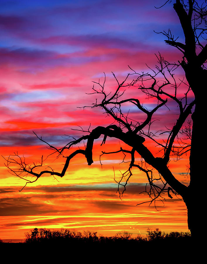 Sunrise Over Quirvira 2 Photograph by Steve Marler