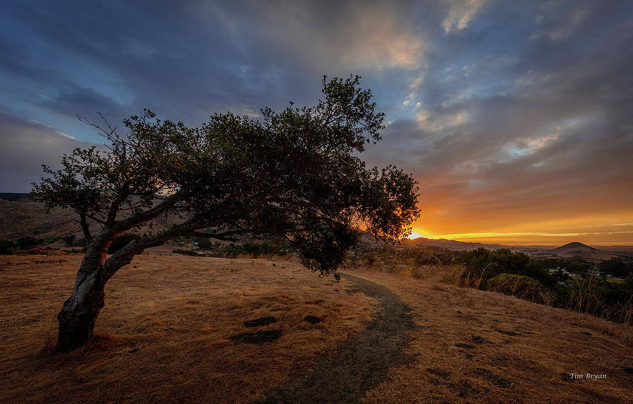 Sunrise over San Luis Obispo Photograph by Tim Bryan