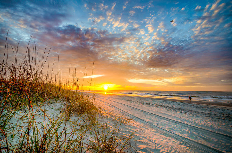Sunrise Over Tall Grass on Myrtle Beach Photograph by Anthony Doudt