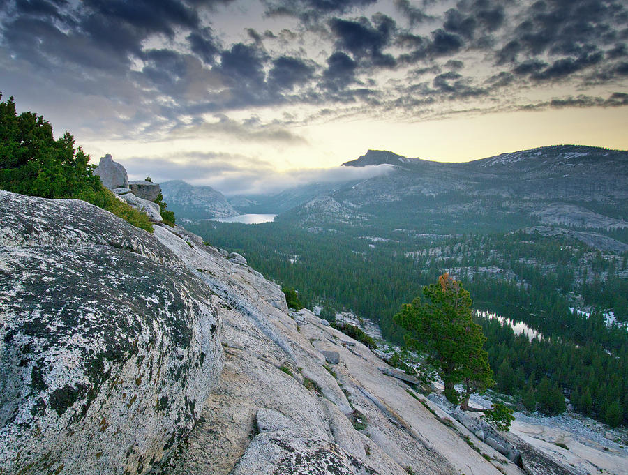 Sunrise Over Tenaya Lake - Yosemite National Park Photograph by Brendan Reals