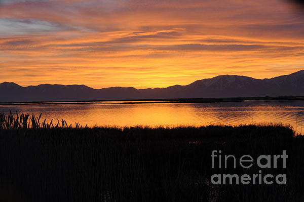 Sunrise Photograph - Sunrise Over the Bear River by Dennis Hammer