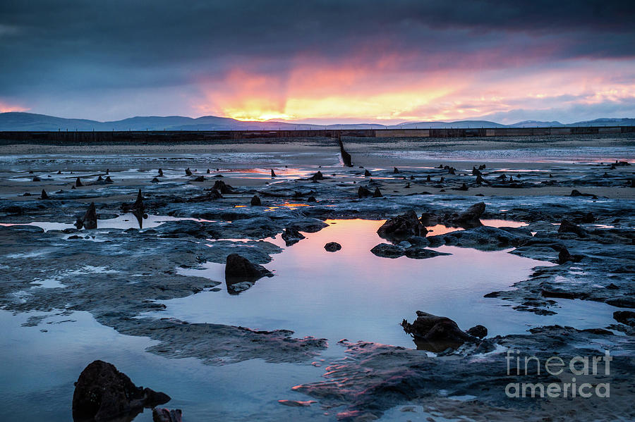 Sunrise over the Bronze Age sunken forest at Borth on the West Wales ...