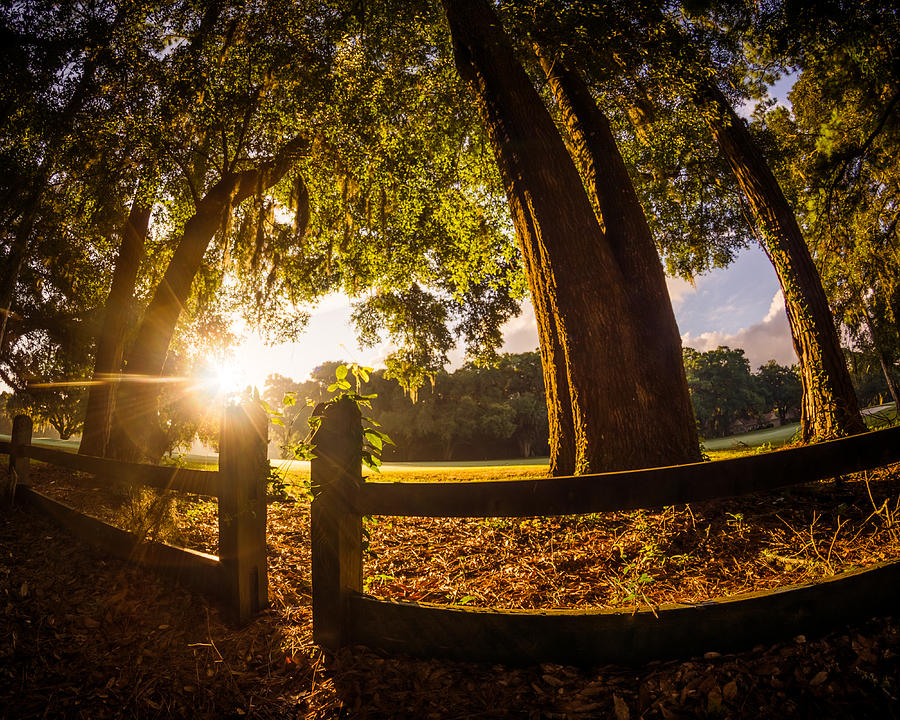 Sunrise over the Fence Photograph by Chris Bordeleau