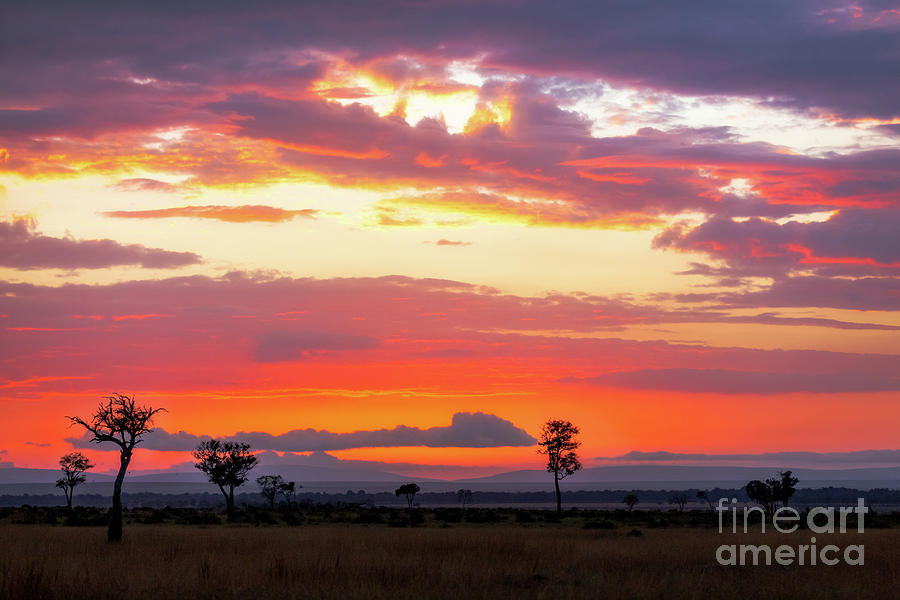 Sunrise over the Mara Photograph by Jane Rix